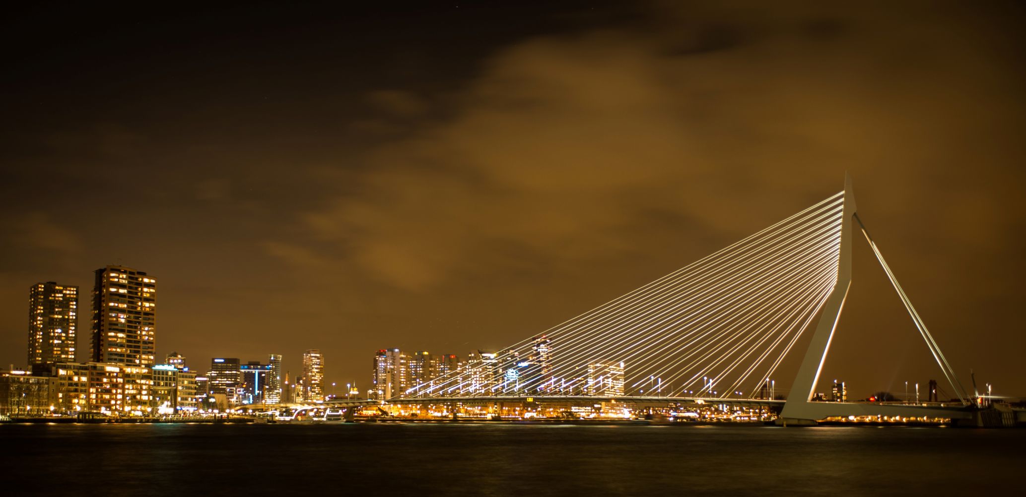 Erasmus Bridge